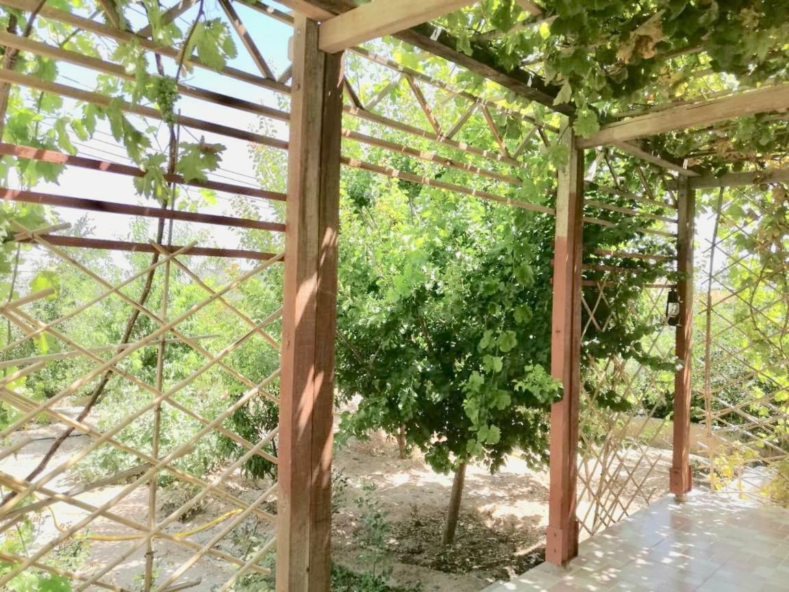 الجبل الاخضر Isterahat Aljabel Alakhdar Villa Hayl Yaman Exterior photo